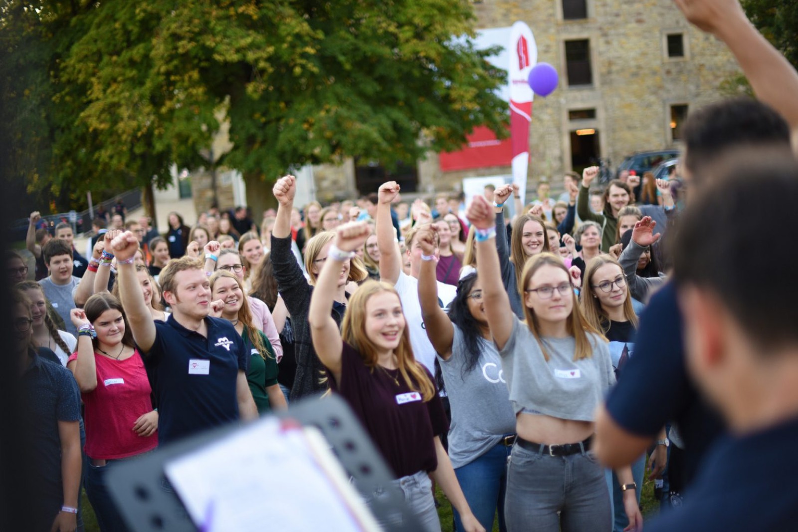 Jubelnde Menschenmenge bei einer Open-Air-Veranstaltung